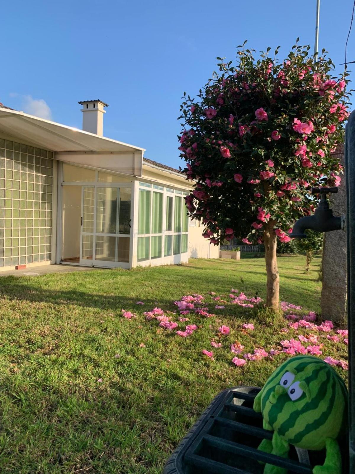 La Maison D'Abelleira Ponteareas Kültér fotó