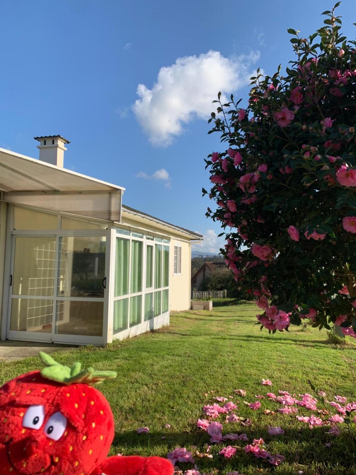 La Maison D'Abelleira Ponteareas Kültér fotó