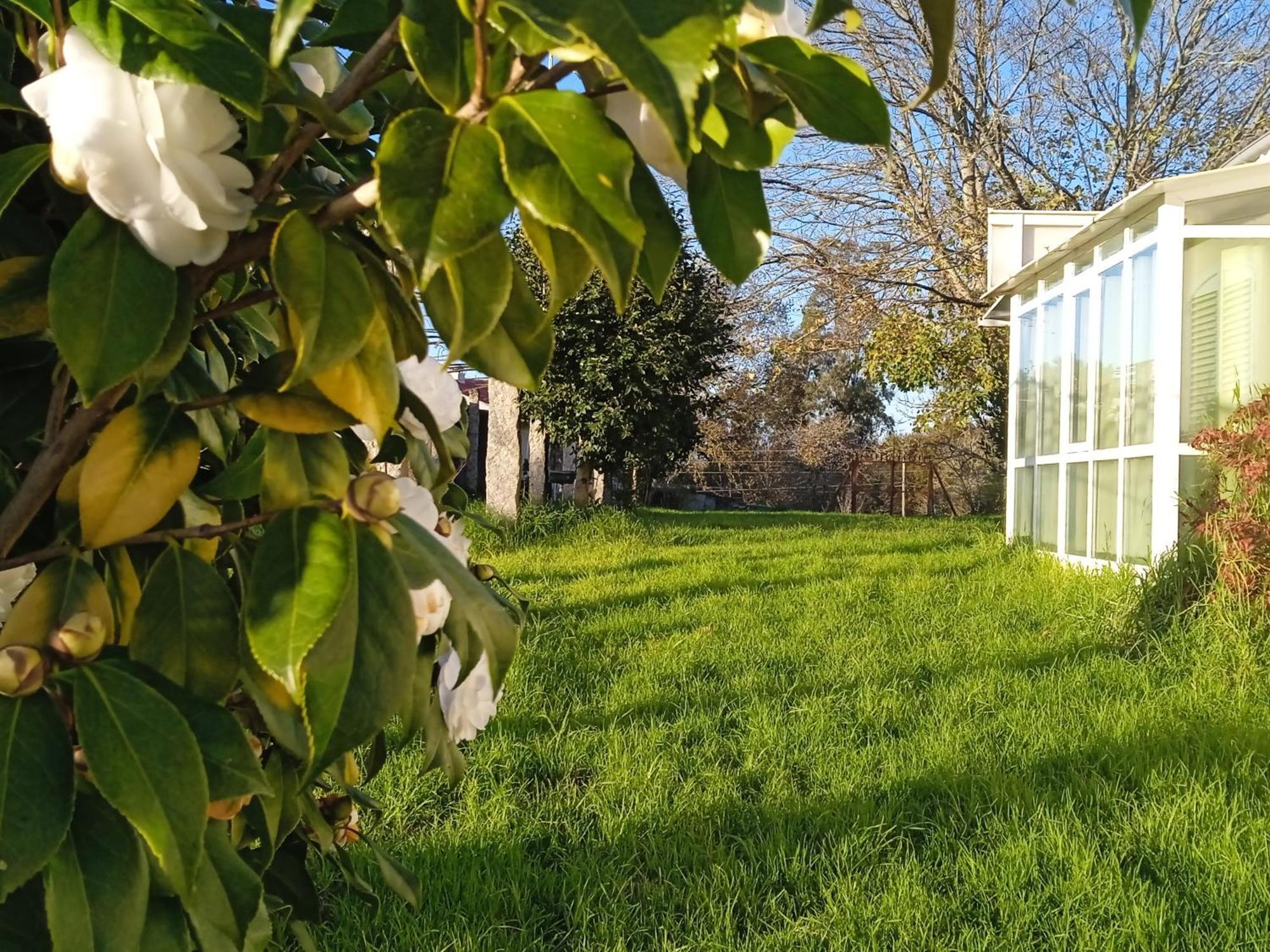 La Maison D'Abelleira Ponteareas Kültér fotó
