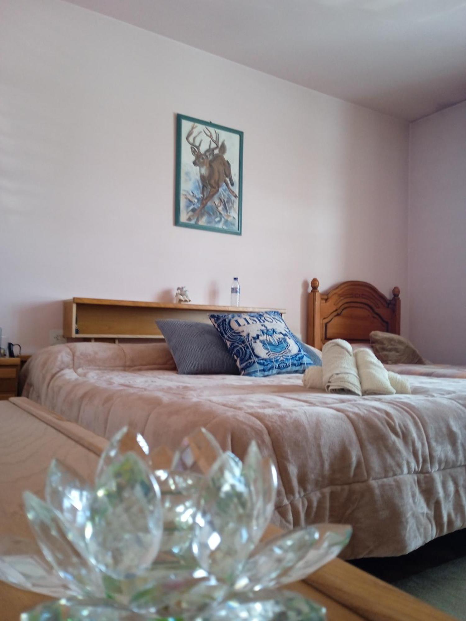La Maison D'Abelleira Ponteareas Kültér fotó